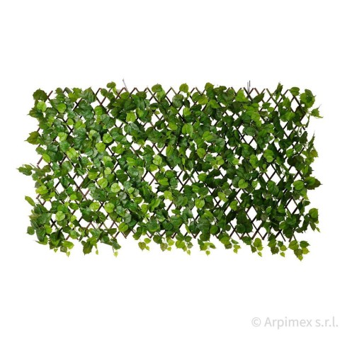 ESTENSIBILE EDERA CM.100